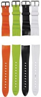 Chromis black strap