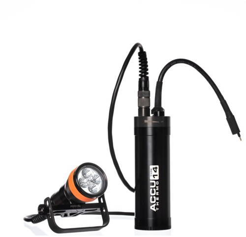 Ammonite LED Solaris + Thermo 14 Set
