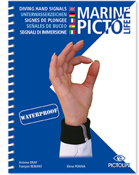 PICTOLIFE Handsignals