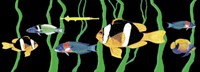 Clown Fish Mask Strap Cover