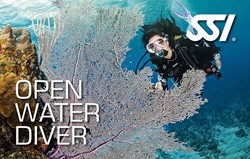 SSI Scuba Diver -> Open Water brevet upgrade
