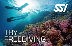 SSI Freedive introductie privé