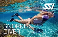 SSI snorkelcursus
