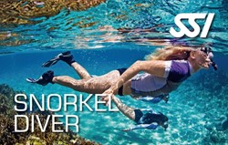 SSI snorkelcursus