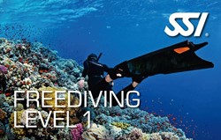 SSI Freediver level 1