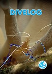 Logboek voor Duikers