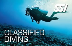 SSI Specialty Classified Buddy