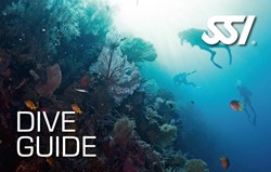 SSI Dive Guide opleiding