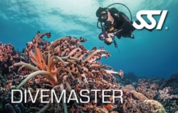 SSI Divemaster opleiding