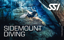 Sidemount
