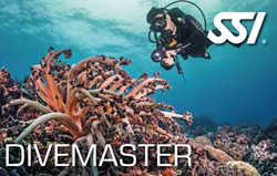 Divemaster