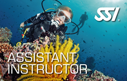 Assistent instructeur