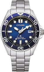 Citizen Promaster BN0260-54L - RVS Band