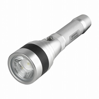 Duiklamp