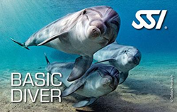SSI Basic Diver Digitaal Lespakket
