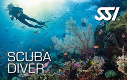 SSI Scuba Diver Digitaal Lespakket
