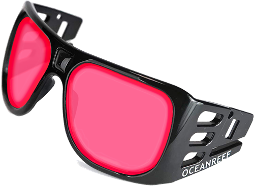 Ocean Reef Colour Enhancing Lenses