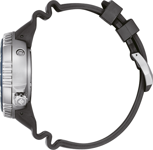 Citizen BN1025-08L