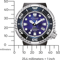 Citizen BN1025-08L