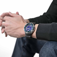 Citizen BN1025-08L