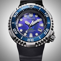 Citizen BN1025-08L