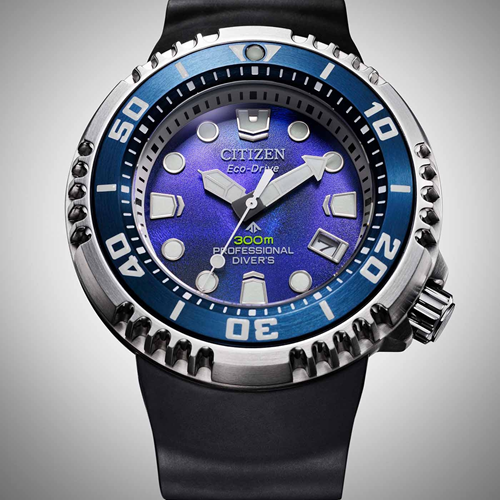 Citizen BN1025-08L