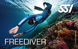 Haal je freedivebrevet