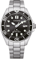 Citizen Promaster BN0261-51E - RVS Band