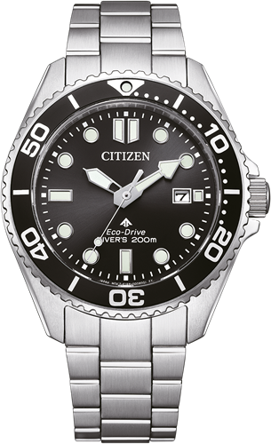 Citizen Promaster BN0261-51E - RVS Band