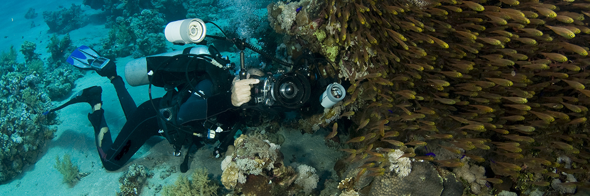 Landingspagina - Onderwatercamera  - Acc