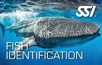 SSI Specialty Fish Identification privé