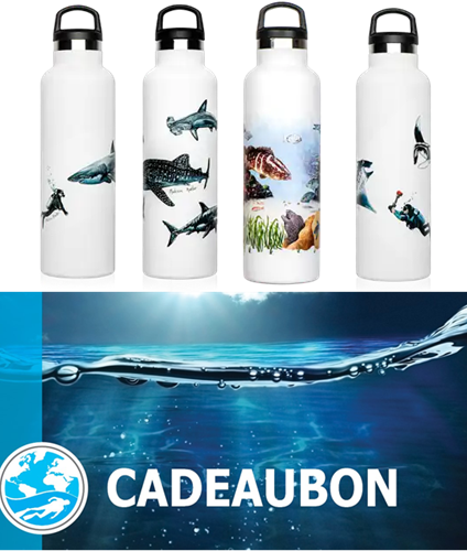 Herman Lieven Cadeaubon + Fish Tank + Gedicht