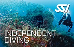 SSI Specialty Ice Diving