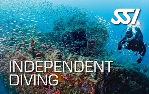 SSI Specialty Independant Diver