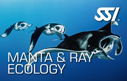 SSI Specialty Manta Ray Ecology Privé