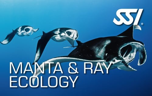 SSI Specialty Manta Ray Ecology Privé