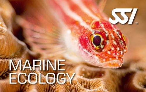 SSI Specialty Marine Ecology Privé