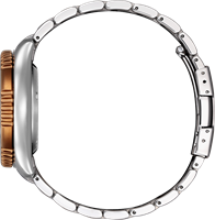 Citizen NY0164-65XE - 35th Anniversary-2