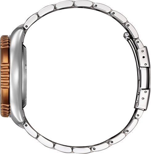 Citizen NY0164-65XE - 35th Anniversary-2