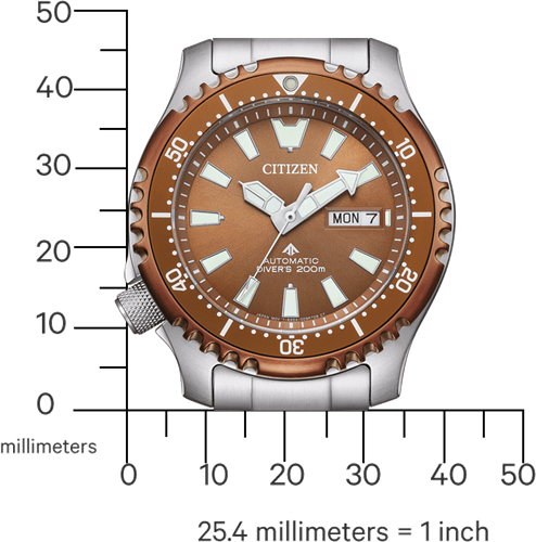 Citizen NY0164-65XE - 35th Anniversary-3