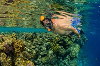 Ocean Reef Aria Classic L/XL-3