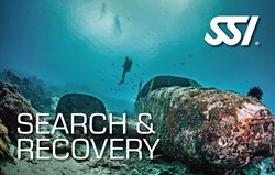 SSI Specialty Search & Recovery