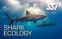 SSI Specialty Shark Ecology