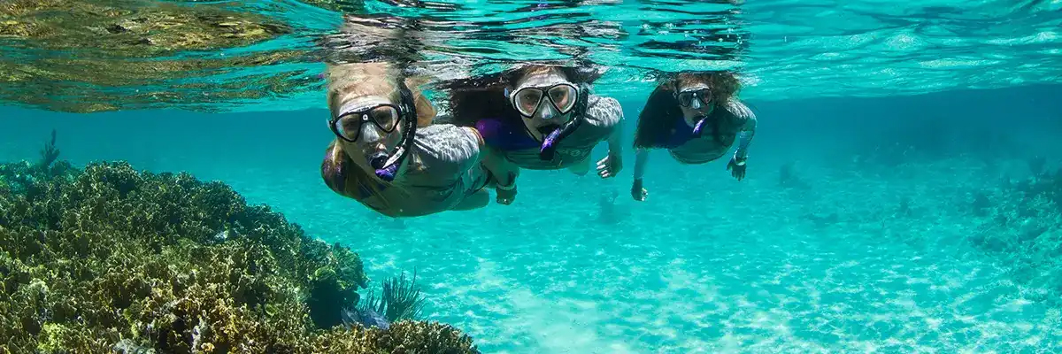 Landingspagina - Snorkelmateriaal - Snorkels
