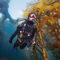 /s/p/sp-durand-20220119-catalina-82928-3000px_105804.jpg