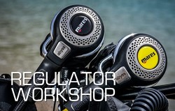Regulator Technical Workshop